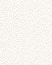 Rossini Sheer Ivory by  Schumacher Fabric 