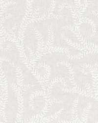 Boboli Embroidery Ivory by  Schumacher Fabric 