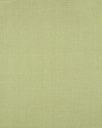 Sofia Diamond Grass by  Schumacher Fabric 