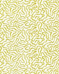 Corallina Acid Green by  Schumacher Fabric 