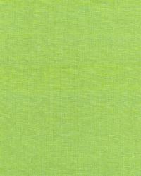 Beckford Cotton Plain Kiwi by  Schumacher Fabric 