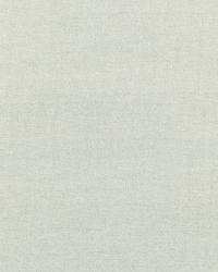 Beckford Cotton Plain Nickel by  Schumacher Fabric 