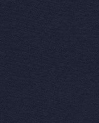 Mandeville Field  Midnight by  Schumacher Fabric 