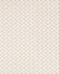 Emmeline Cream by  Schumacher Fabric 