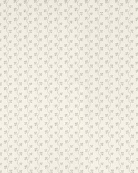 Emmeline Dove by  Schumacher Fabric 