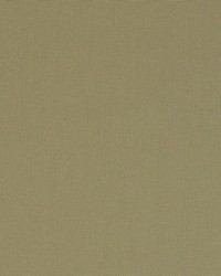 Elliott Jute by  Schumacher Fabric 