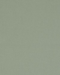 Elliott Pebble by  Schumacher Fabric 