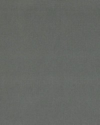 Elliott Peat by  Schumacher Fabric 