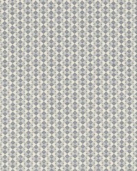 Huxley Grigio by  Schumacher Fabric 