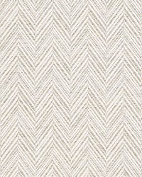 Davis Birch by  Schumacher Fabric 