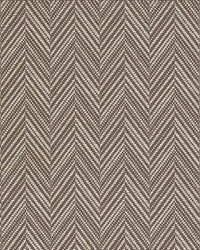 Davis Bark by  Schumacher Fabric 