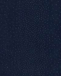 Northern Lights Midnight by  Schumacher Fabric 