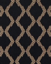 Topi Black by  Schumacher Fabric 