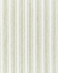Montallegro Linen Sheer Grass by  Schumacher Fabric 