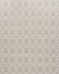 Hix Stone by  Schumacher Fabric 