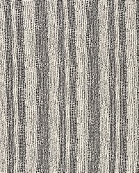 Glamourpuss Black by  Schumacher Fabric 