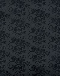 Calliope Embroidery Black by  Schumacher Fabric 