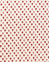 Avodica Embroidery Azalea by  Schumacher Fabric 