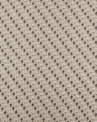 Avodica Embroidery Moonstone by  Schumacher Fabric 