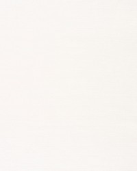 Castillo Stripe Sheer White by  Schumacher Fabric 