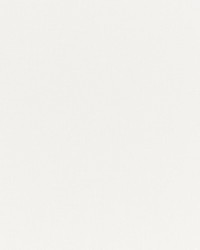 Canton Sheer Snow by  Schumacher Fabric 