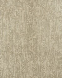 Faux Bois Sheer Platinum by  Schumacher Fabric 