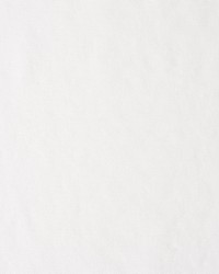 Rocha Sheer Chalk by  Schumacher Fabric 