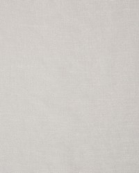 Rocha Sheer Zinc by  Schumacher Fabric 