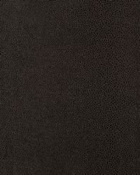 Gloss Shagreen Bark by  Schumacher Fabric 