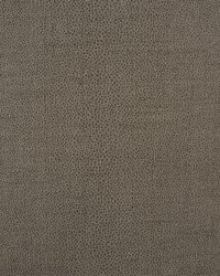 Gloss Shagreen Stone by  Schumacher Fabric 