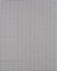 Crosstown Graphite by  Schumacher Fabric 