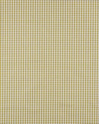 Crosstown Citron by  Schumacher Fabric 