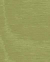 Incomparable Moire Olive by   