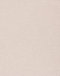 Palermo Sheer Greige by  Schumacher Fabric 