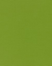 Alassio Lime by  Schumacher Fabric 