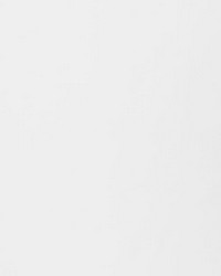 Poetto Strie Blanc by  Schumacher Fabric 