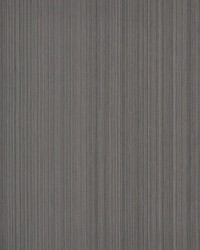 Poetto Strie Ash by  Schumacher Fabric 