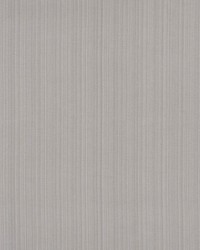 Poetto Strie Zinc by  Schumacher Fabric 
