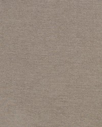 Trapani Driftwood by  Schumacher Fabric 