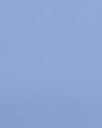 Ravello Cornflower by   