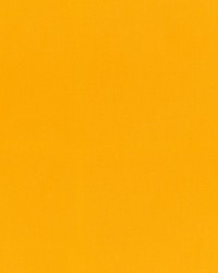 Ravello Sunflower by   