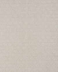 Anderson Moonstone by  Schumacher Fabric 