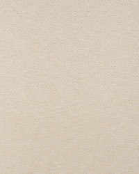 Anderson Bamboo by  Schumacher Fabric 