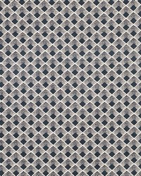 Morgan Onyx by  Schumacher Fabric 