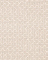 Morgan Pearl Grey by  Schumacher Fabric 