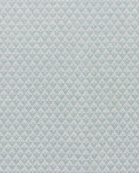 Evans Seaglass by  Schumacher Fabric 