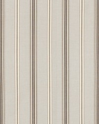 Coco Stripe Cloud by  Schumacher Fabric 