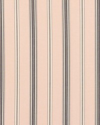 Coco Stripe Blush by  Schumacher Fabric 