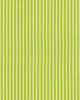 Schumacher Fabric EDIE STRIPE GREEN