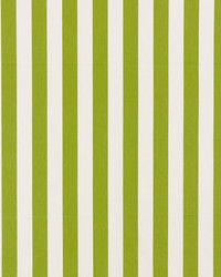 Andy Stripe Green by  Schumacher Fabric 